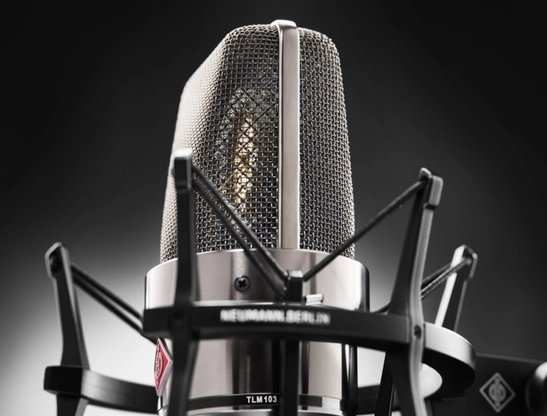 Neumann TLM 103 - 25 Years Edition / Stüdyo Mikrofonu | Sesçi Baba